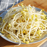 黄豆芽